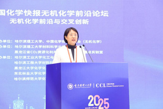 2025年中国化学快报无机化学...